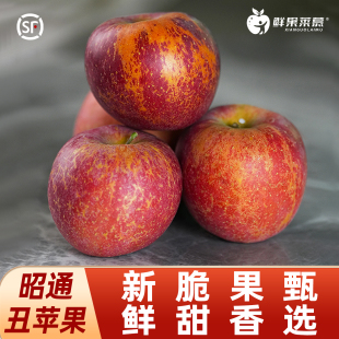 顺丰 云南昭通红露冰糖心丑苹果新鲜水果脆甜红富士整箱10斤 包邮
