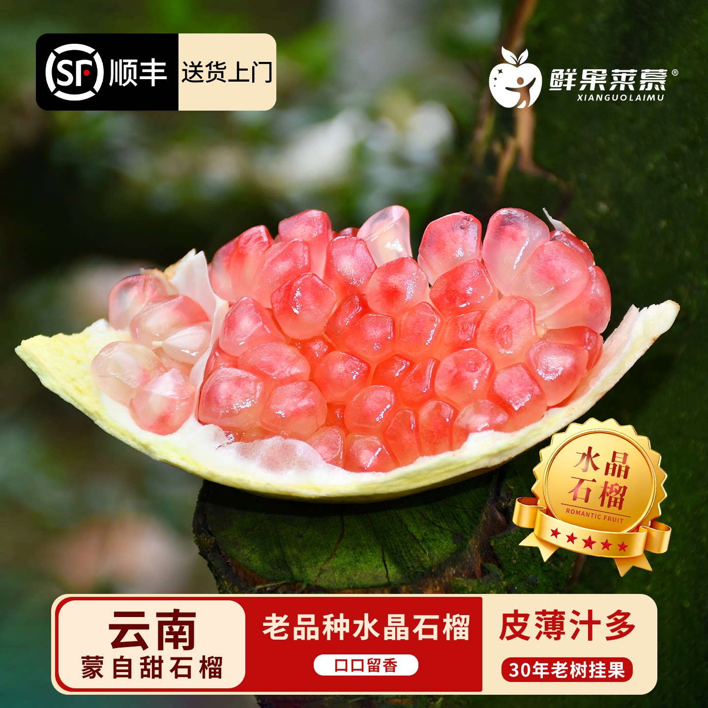 鲜果莱慕 云南蒙自老树水晶甜石榴绿籽皮薄多汁孕妇应季新鲜水果