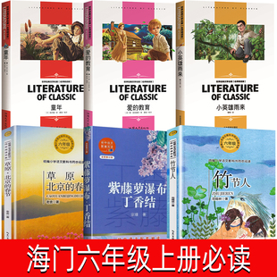海門六年級(jí)上冊(cè)必讀童年高爾基紫藤蘿瀑布丁香結(jié)宗璞著竹節(jié)人
