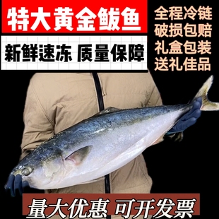 深海黄金鲅礼盒装无冰衣黄金大鲅鱼10-24斤新鲜活冻非马鲛送礼