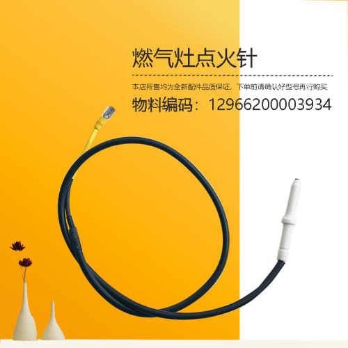 Q601-KQ13-QW32-Q330-Q60B-Q219-Q220-HQ5B美D燃气灶点火针Q60G-Y