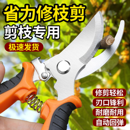 园艺剪刀修枝剪果树不锈钢