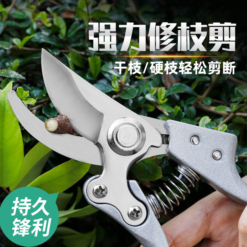 修枝剪树枝剪刀超锋利图片