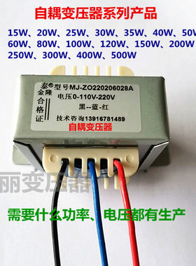 变压器110V220V380V20W25W30W50W80W100W150W升压降压自耦变压器