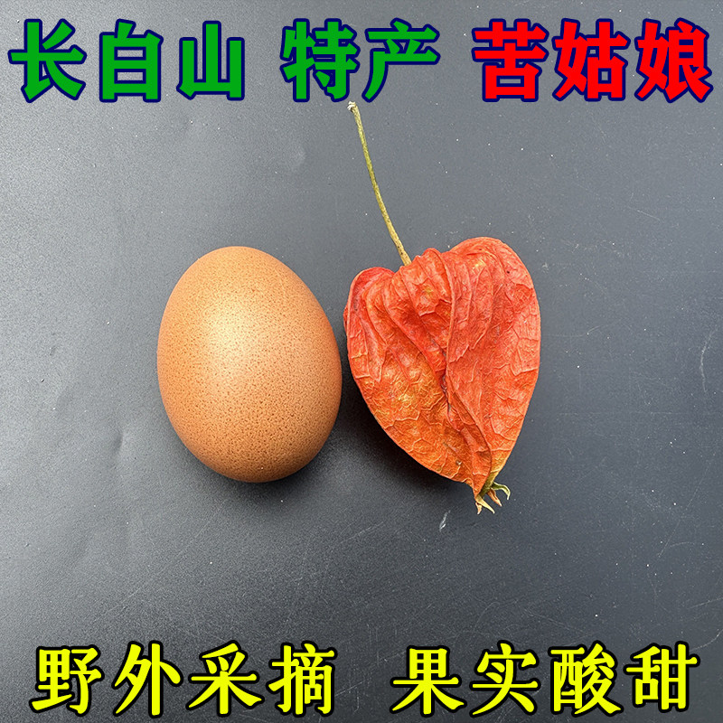 长白山东北红姑娘果苦姑娘果干皮泡水菇娘果灯笼果新货酸甜新鲜