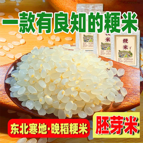 胚芽米粳米糙米东北十月杨清家