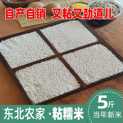 白糯米江米粽子米米酒米杨清家