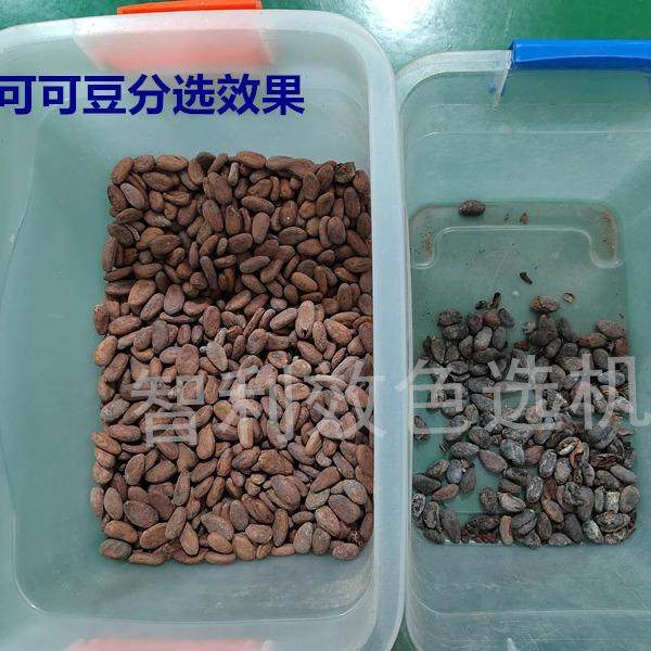 备可可豆色选机咖豆啡筛选Z-128机可可豆分咖啡鲜果分选拣精选分,机械设备,筛选机,淘宝优惠券,粉丝福利购,淘宝优惠卷