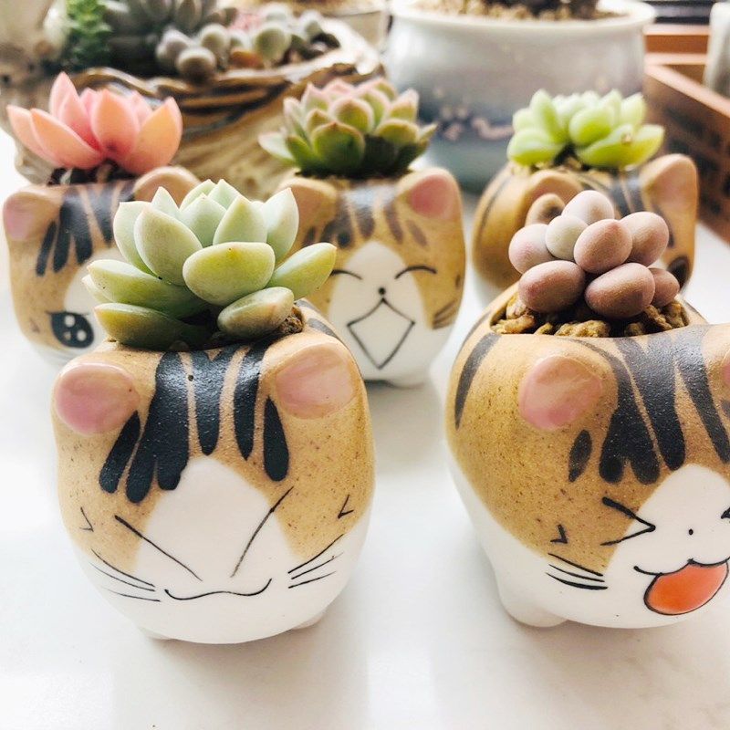 可爱小猫手工造拇指摆件花器景德镇多肉植物素烧花盆多肉陶盆在类目 3C数码配件, 电子元器件市场, IC集成电路/电机, IC集成电路中 - 来自Buy2taobao.com提供专业的淘宝代购服务