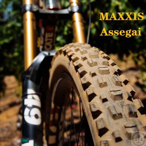 山地越野速降外胎MAXXIS/玛吉斯