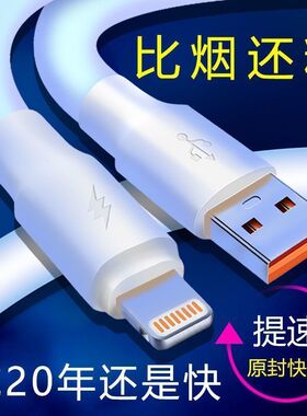 适用苹果快充6s/7/8plus13数据线SE/iPhoneX12加粗充电线120W闪充