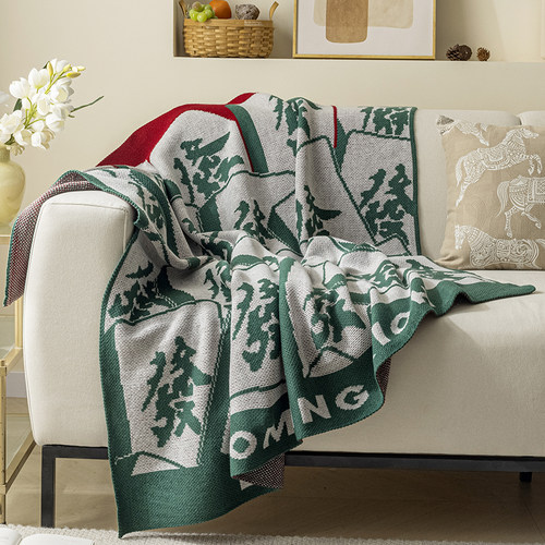 ins高级感发财休闲盖毯乔迁送礼寓意沙发毯午睡空调毯客厅毯车毯