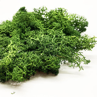 模型灌木丛自然原料超真实灌木团簇丛植被铁路沙盘场景绿化材料