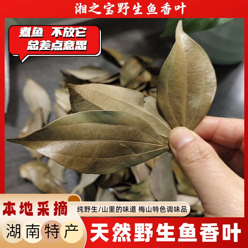 湖南特产天然鱼香叶梅山特色调味料新化本地采摘调味料香辛料干货