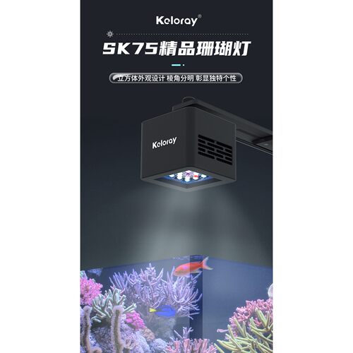LED小缸软体硬骨珊瑚灯钜彩