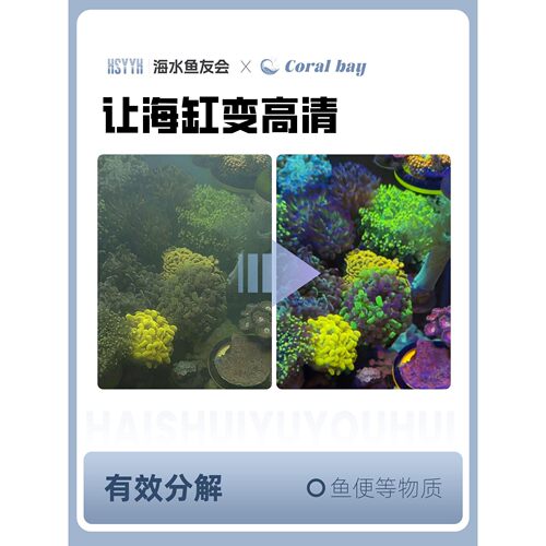 CB全菌净化水质活菌有益菌分解海缸珊瑚去除氨氮硝化细菌亚硝酸菌