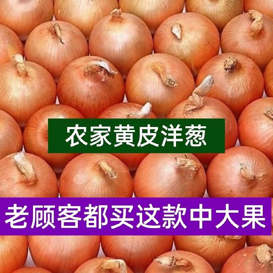 山东新鲜黄皮大洋葱白肉洋葱辛辣甜味生吃蔬菜红皮大圆葱头毛葱头,水产肉类/新鲜蔬果/熟食,洋葱/红葱头,淘宝优惠券,粉丝福利购,淘宝优惠卷