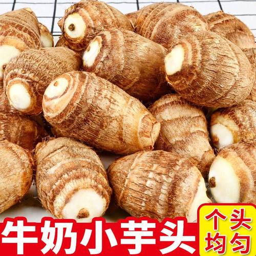 山东新鲜牛奶小芋头软滑糯现挖