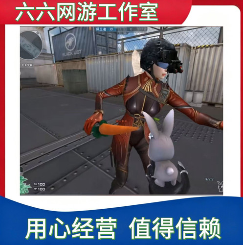 CF穿越火线永久副武器兔宝宝永久超稀有道具