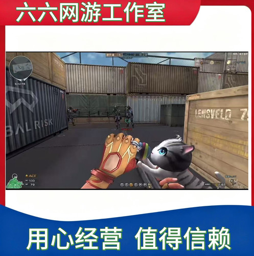 CF穿越火线永久猫猫cop副武器永久