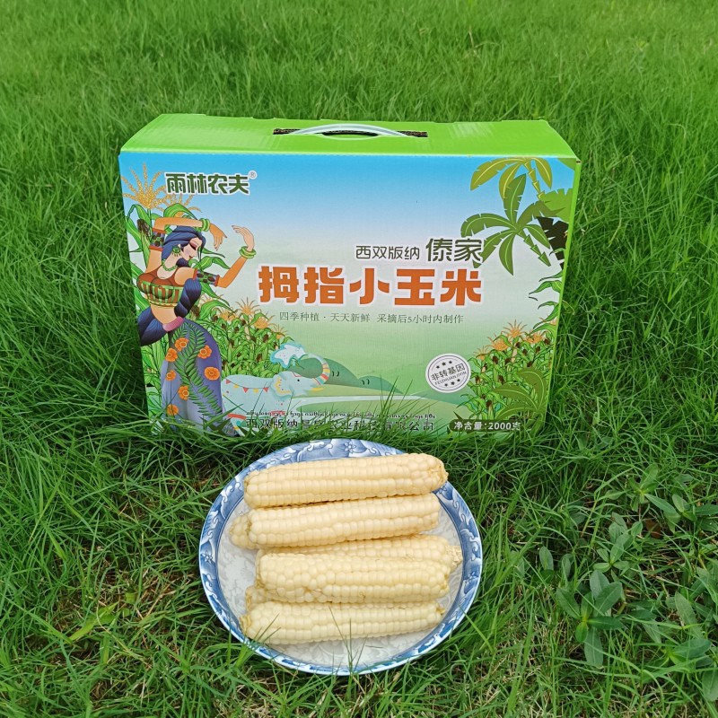 西双版纳小玉米雨林农夫低脂粗粮