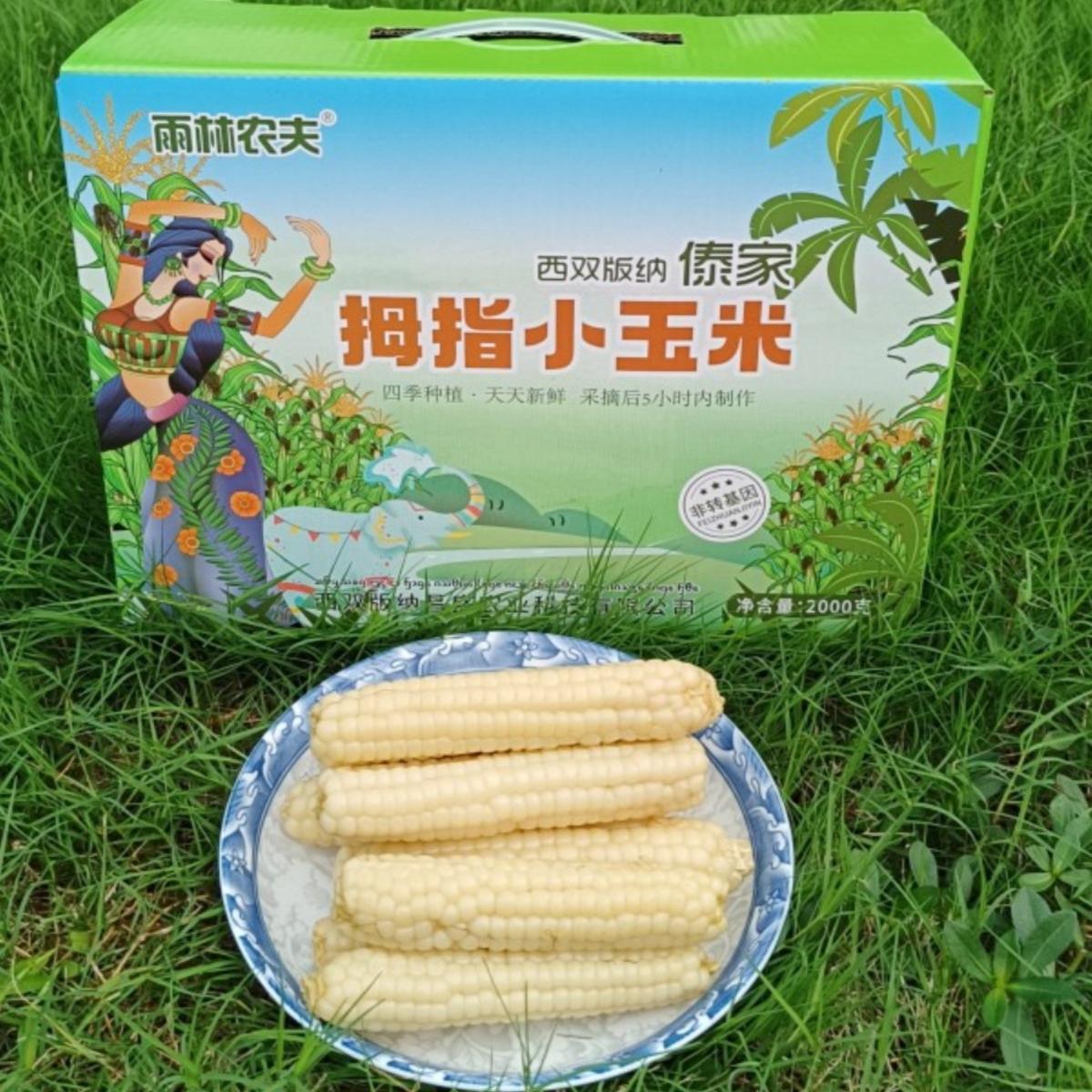 西双版纳小玉米雨林农夫低脂粗粮
