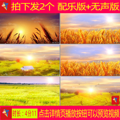 稻香 配乐舞蹈视频伴奏舞台表演晚会led背景视频素材