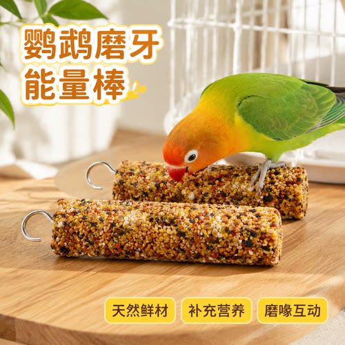 鹦鹉金属挂钩磨喙谷物蔬果奖励棒