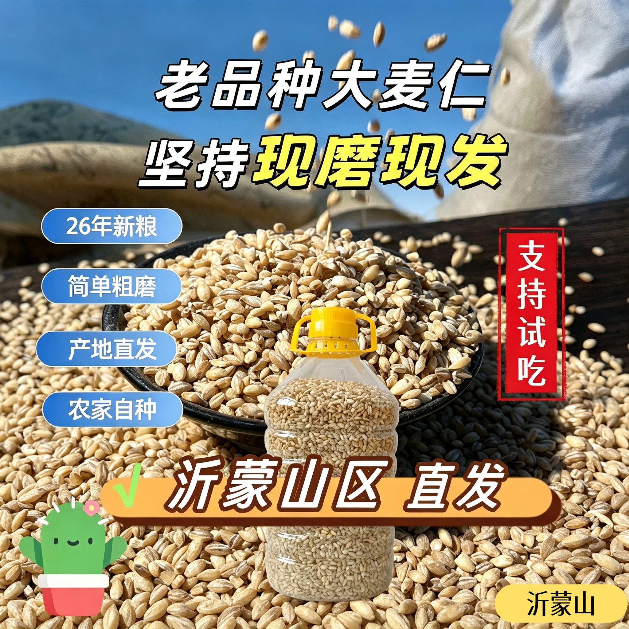 【26年新麦仁】精选大麦仁当季农家自种天然健康熬粥粗粮早餐营养图片