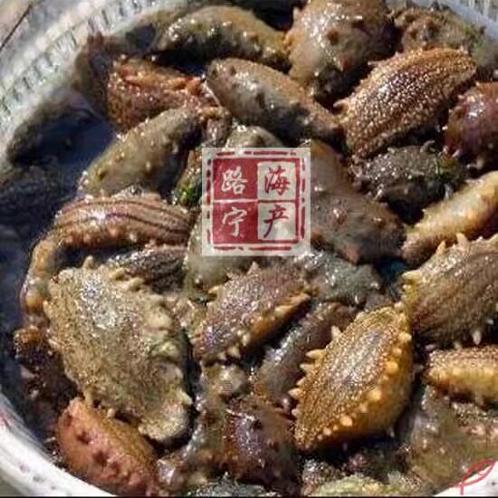刺参天然野生海参干货包邮
