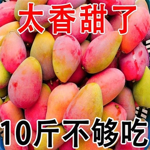 时令水果当季 海南贵妃芒果新鲜10斤红金龙芒果应季 新鲜水果 包邮