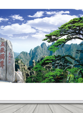 五岳独尊迎客松风景画客厅办公室背景墙装饰画高山靠山招财自粘画