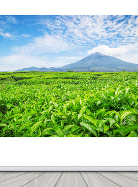 茶叶茶山绿色山水贴画蓝天白云自然风景画客厅沙发背景装饰贴纸画