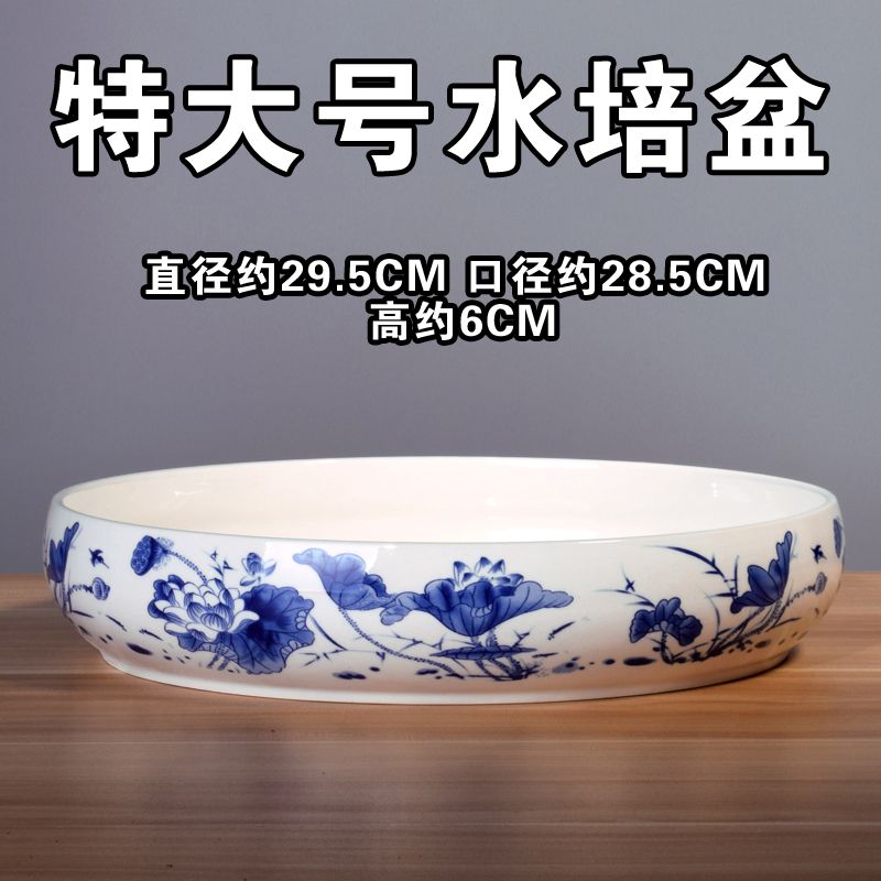 水仙花盆无孔铜钱草花盆白色碗莲盆睡莲水培花盆多肉拼盘花盆陶瓷