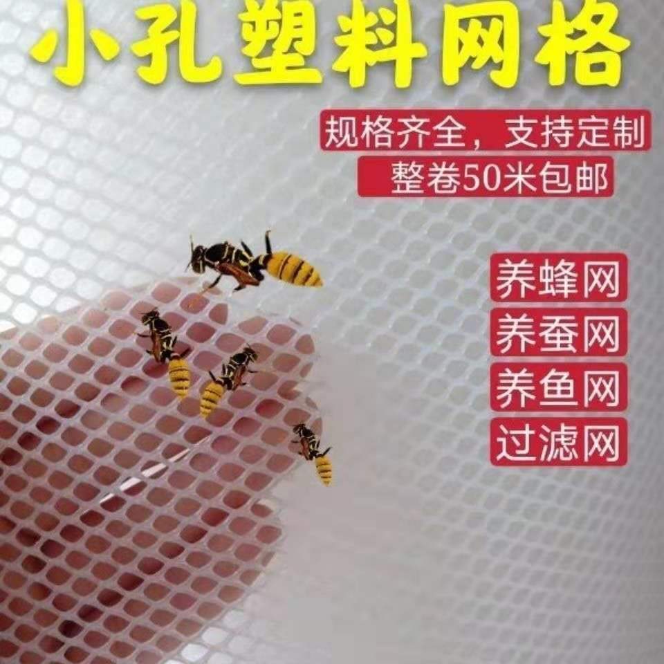 防晒加厚小孔塑料网养蜂网养蚕网养鱼网过滤儿童阳台防坠网防蛇网