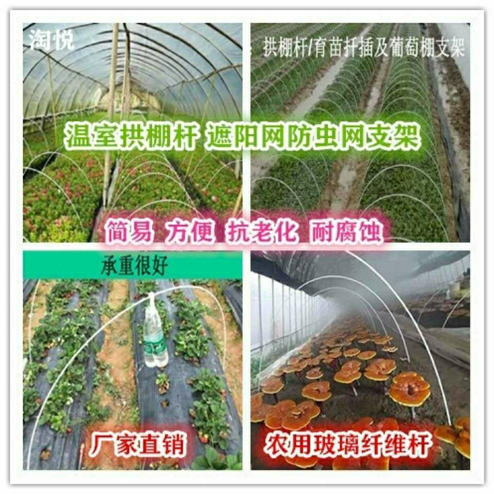 农用小拱棚实心支架玻璃纤维杆蔬菜大棚保温棚花苗棚遮阳棚玻纤棒