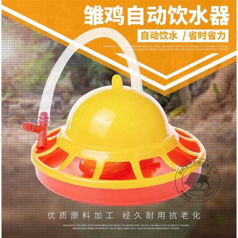 小鸡食槽家用料喂食器设备水槽用品吃养殖鸡饮水器水桶水饮水壶