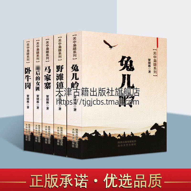 关中枭雄系列丛书套装5册 马家寨兔儿岭野滩镇卧牛岗后的女匪贺绪林著