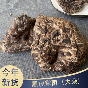黑虎掌大朵干货 24年新货云南楚雄特产菌菇蘑菇适合煲汤香味浓郁