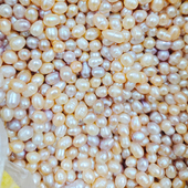 无孔没有孔便宜天然散装 无核真珍珠称斤重中药用打磨粉修曼扎供佛