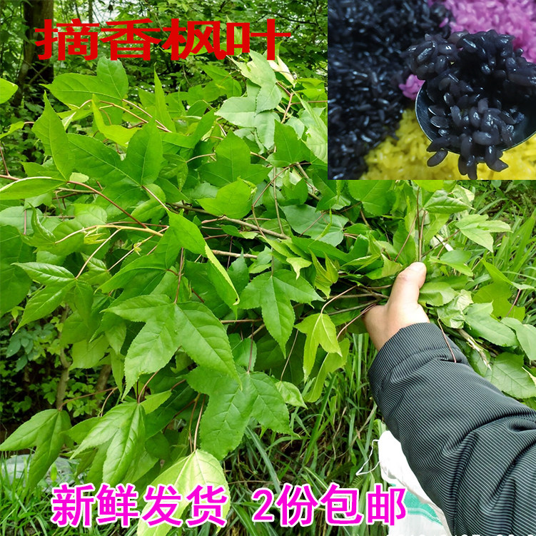 枫香味黑色糯米饭材料植物染料图片