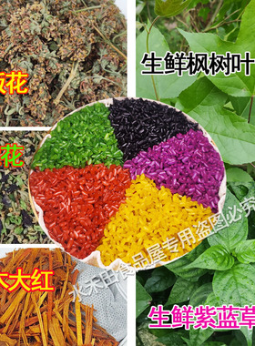 五色糯米饭植物染料广西三月三密蒙花颜色新鲜黑色香紫蓝草黄饭花