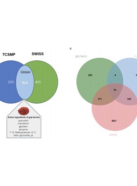 生信分析指导医学sci单细胞测序生信辅导差异分析富集分析二区5+