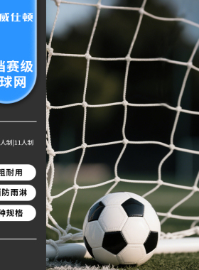 威仕顿足球球门框网 幼儿园儿童成人训练室外5711五七十一人制