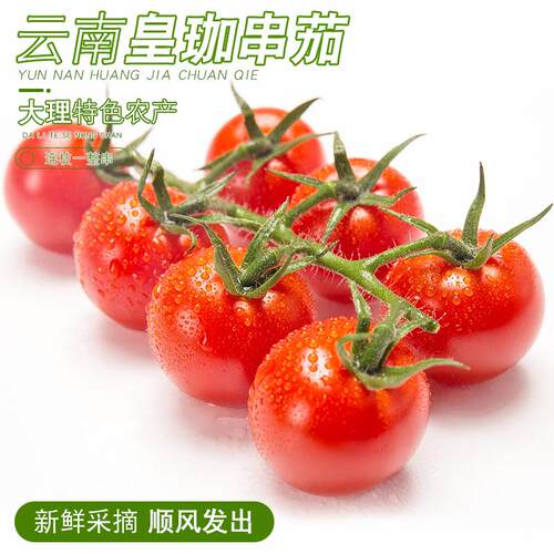 云南大理特色农产小番茄带枝串茄新鲜圣女果红色小串茄顺丰包邮
