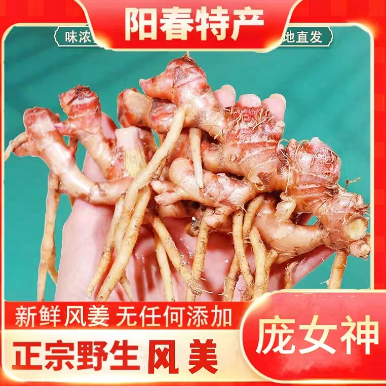 产地直销风姜农家多买多送开胃