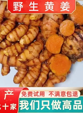 直销新鲜正宗黄精野生原小黄姜金色美味自然绿色上色调料农种子籽