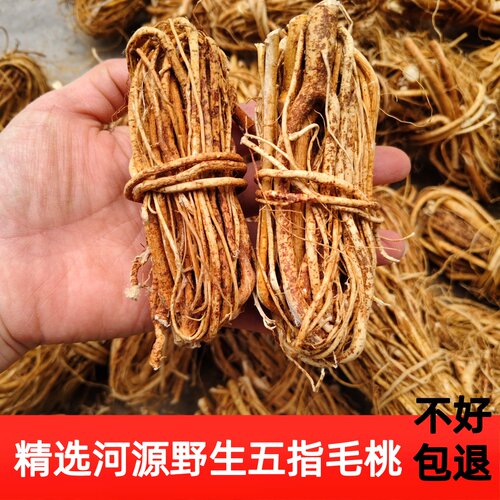 正宗河源野生五指毛桃晒干无添加