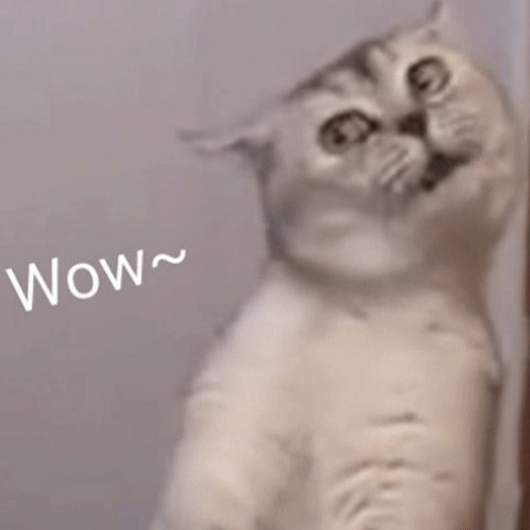 新疆西藏内蒙海南运费补差专用链接1KG