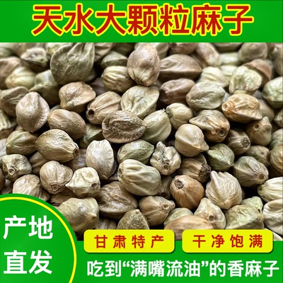 麻子大粒甘肃特产特大生麻子火麻子籽人吃炒熟油食用香麻子大颗粒